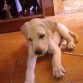 Ya en casita.. me divertí mucho en la playa hoy!!!